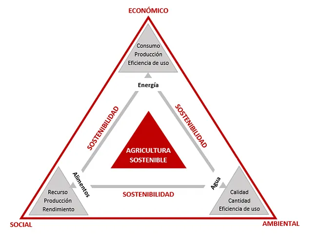 triangulo bolg